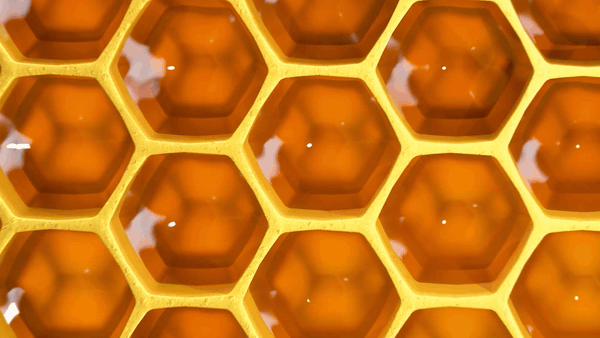 Schwab Video Asset Management Bee